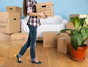 Packing and Moving Service